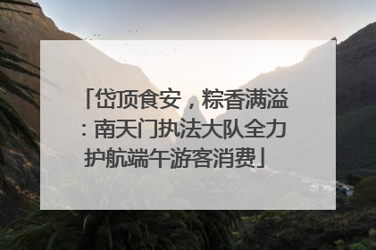 岱顶食安，粽香满溢：南天门执法大队全力护航端午游客消费