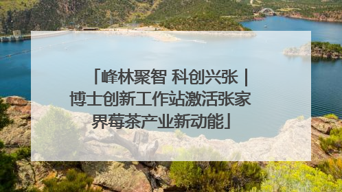 峰林聚智 科创兴张｜博士创新工作站激活张家界莓茶产业新动能