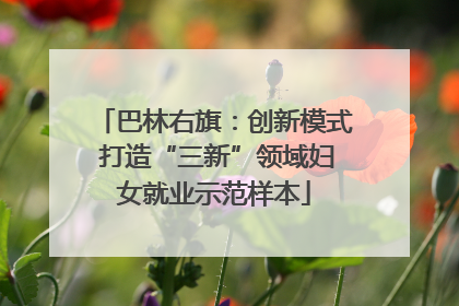 巴林右旗：创新模式 打造“三新”领域妇女就业示范样本