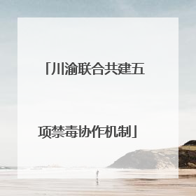 川渝联合共建五项禁毒协作机制
