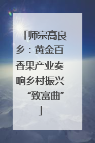 师宗高良乡：黄金百香果产业奏响乡村振兴“致富曲”