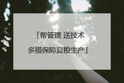 帮管理 送技术 多措保障夏粮生产