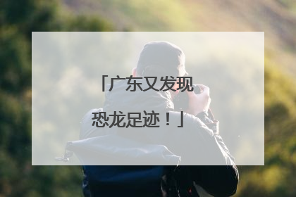 广东又发现恐龙足迹！