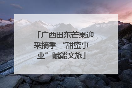 广西田东芒果迎采摘季 “甜蜜事业”赋能文旅