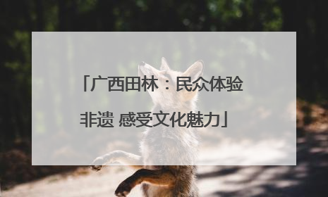 广西田林：民众体验非遗 感受文化魅力