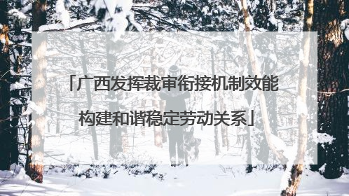 广西发挥裁审衔接机制效能 构建和谐稳定劳动关系