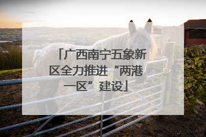 广西南宁五象新区全力推进“两港一区”建设