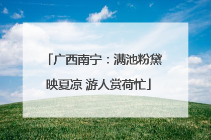 广西南宁：满池粉黛映夏凉 游人赏荷忙