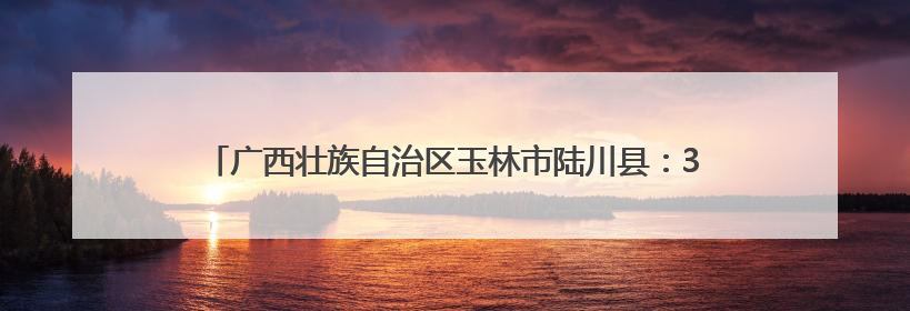 广西壮族自治区玉林市陆川县：3900多名本土干部回乡解纷促和