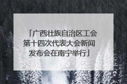 广西壮族自治区工会第十四次代表大会新闻发布会在南宁举行
