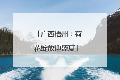 广西梧州：荷花绽放迎盛夏