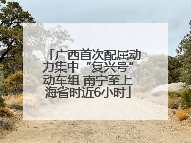 广西首次配属动力集中“复兴号”动车组 南宁至上海省时近6小时