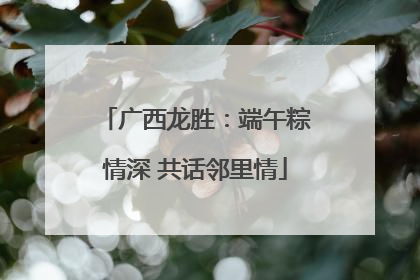 广西龙胜：端午粽情深 共话邻里情