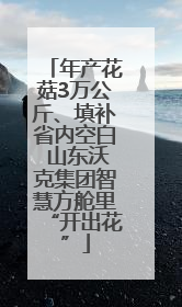 年产花菇3万公斤、填补省内空白 山东沃克集团智慧方舱里“开出花”