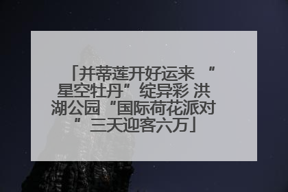 并蒂莲开好运来 “星空牡丹”绽异彩 洪湖公园“国际荷花派对”三天迎客六万