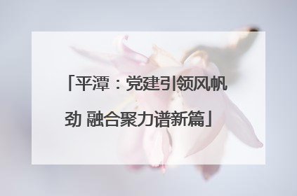 平潭：党建引领风帆劲 融合聚力谱新篇