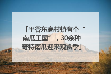 平谷东高村镇有个“南瓜王国”，30余种奇特南瓜迎来观赏季