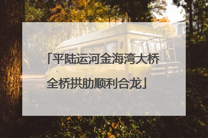平陆运河金海湾大桥全桥拱肋顺利合龙