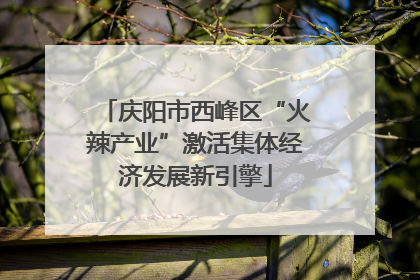 庆阳市西峰区“火辣产业”激活集体经济发展新引擎