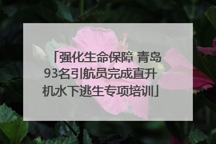 强化生命保障 青岛93名引航员完成直升机水下逃生专项培训