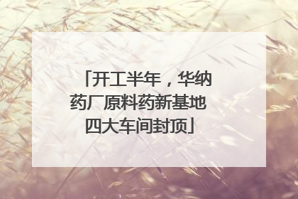 开工半年，华纳药厂原料药新基地四大车间封顶