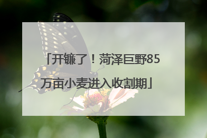 开镰了！菏泽巨野85万亩小麦进入收割期