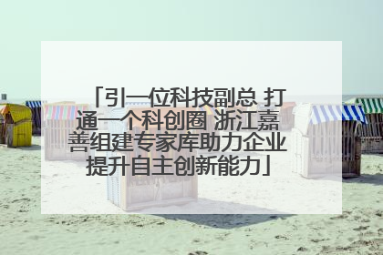 引一位科技副总 打通一个科创圈 浙江嘉善组建专家库助力企业提升自主创新能力