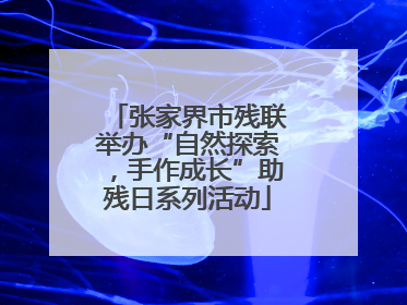 张家界市残联举办“自然探索，手作成长”助残日系列活动