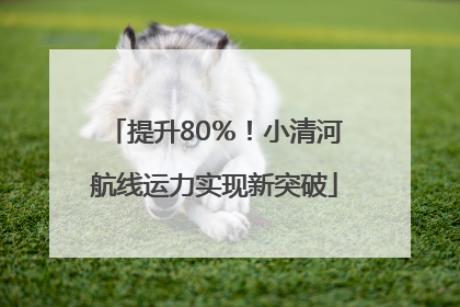提升80％！小清河航线运力实现新突破