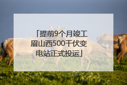 提前9个月竣工 眉山西500千伏变电站正式投运