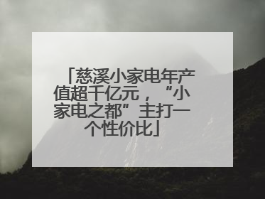 慈溪小家电年产值超千亿元，“小家电之都”主打一个性价比