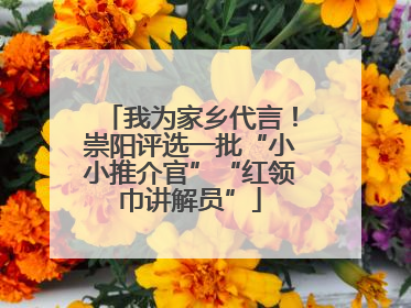 我为家乡代言！崇阳评选一批“小小推介官”“红领巾讲解员”