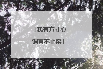 我有方寸心 铜官不止窑