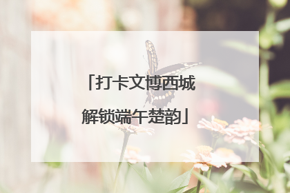 打卡文博西城 解锁端午楚韵