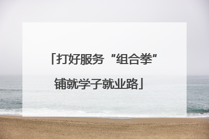 打好服务“组合拳” 铺就学子就业路