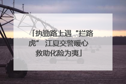 执勤路上遇“拦路虎” 江夏交警暖心救助化险为夷