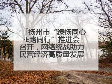 扬州市“绿扬同心·E路同行”推进会召开，网络统战助力民营经济高质量发展行动启动