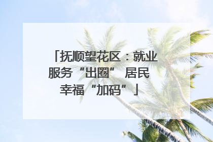 抚顺望花区：就业服务“出圈” 居民幸福“加码”