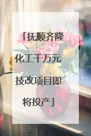 抚顺齐隆化工千万元技改项目即将投产