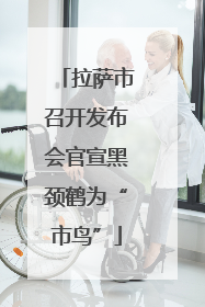 拉萨市召开发布会官宣黑颈鹤为“市鸟”