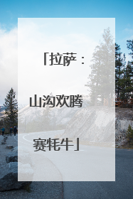 拉萨：山沟欢腾赛牦牛