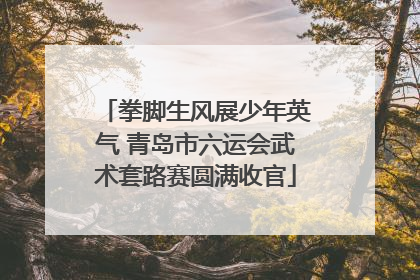 拳脚生风展少年英气 青岛市六运会武术套路赛圆满收官