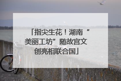 指尖生花！湖南“美丽工坊”随故宫文创亮相联合国