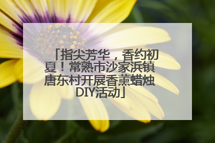 指尖芳华，香约初夏！常熟市沙家浜镇唐东村开展香薰蜡烛DIY活动