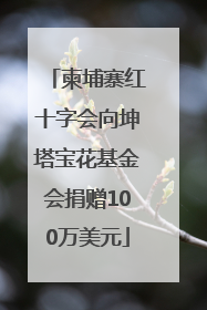 柬埔寨红十字会向坤塔宝花基金会捐赠100万美元