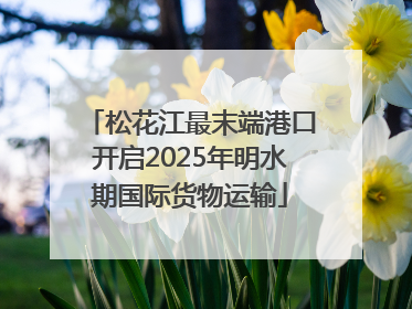 松花江最末端港口开启2025年明水期国际货物运输