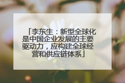 李东生：新型全球化是中国企业发展的主要驱动力，应构建全球经营和供应链体系