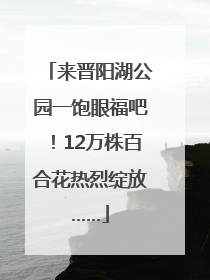 来晋阳湖公园一饱眼福吧！12万株百合花热烈绽放……