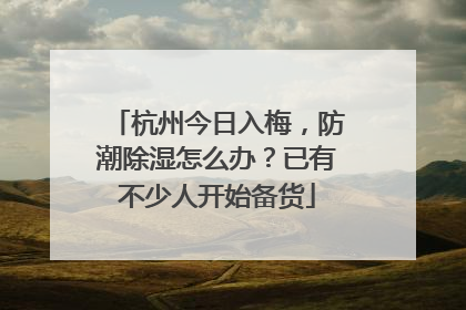 杭州今日入梅，防潮除湿怎么办？已有不少人开始备货