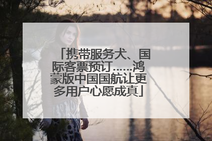 携带服务犬、国际客票预订……鸿蒙版中国国航让更多用户心愿成真